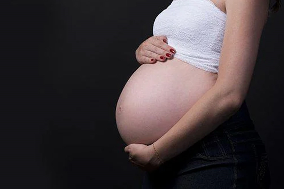 (助孕供卵宝宝)枸杞根对供卵孕妇的功效